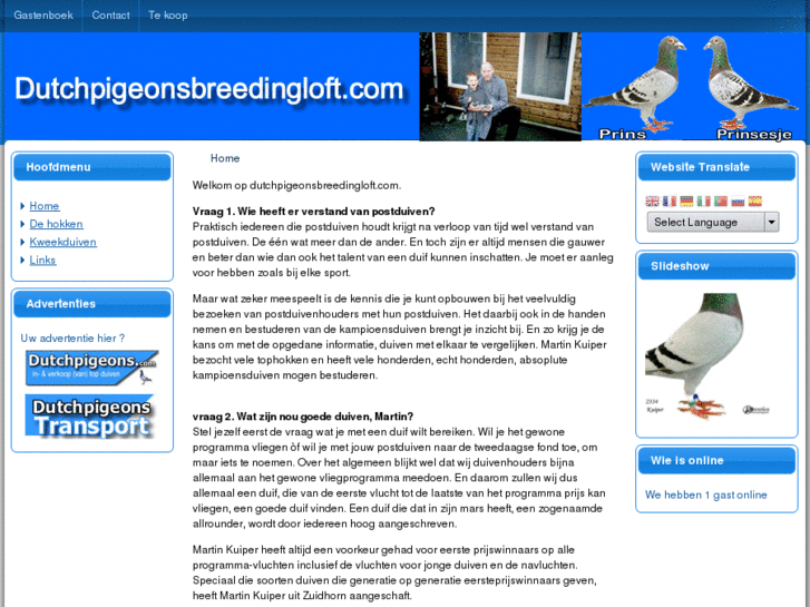 www.dutchpigeonsbreedingloft.com