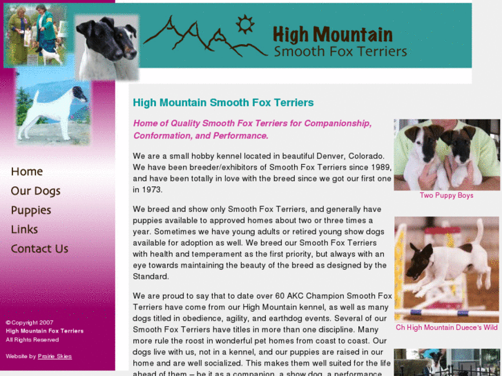 www.highmtnfoxterriers.com