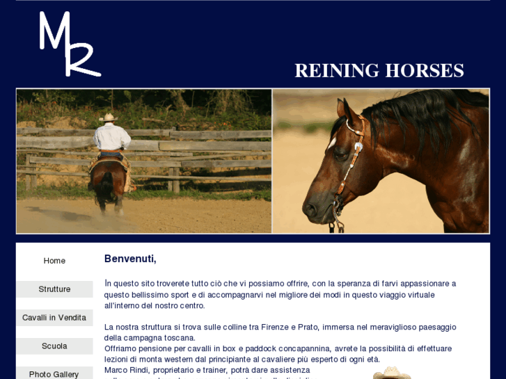 www.mrreininghorses.com