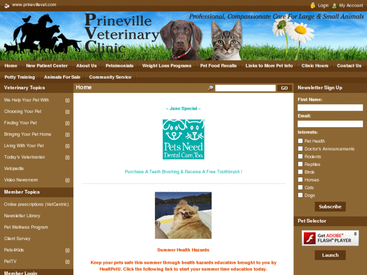 www.prinevillevet.com