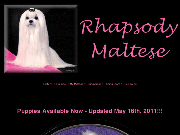 www.rhapsodymaltese.com