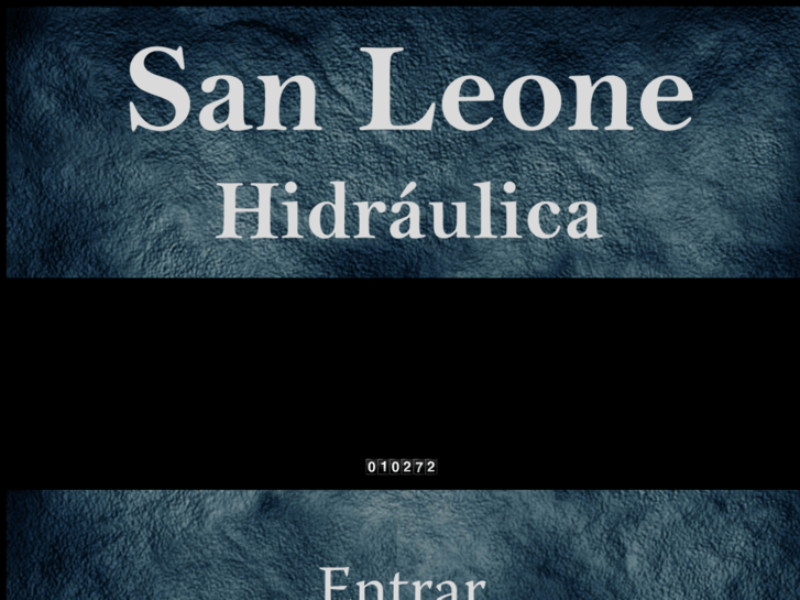 www.sanleonehidraulica.com