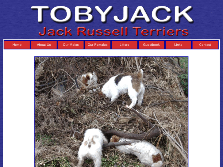 www.tobyjack.com