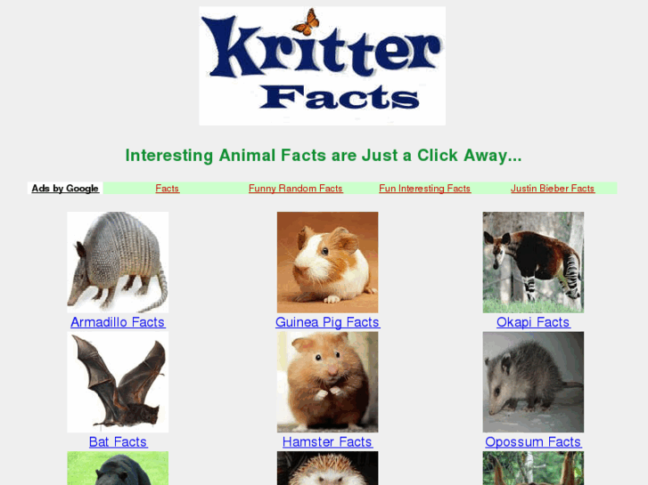 www.kritterfacts.com