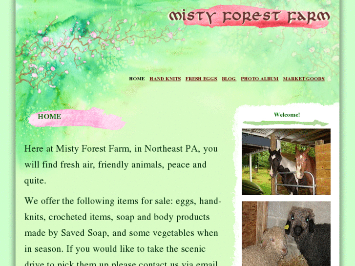 www.mistyforestfarm.com