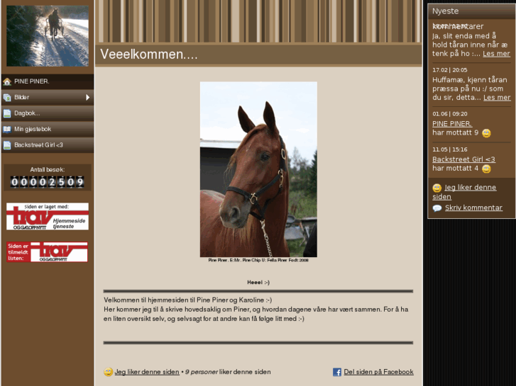 www.pinepiner.com