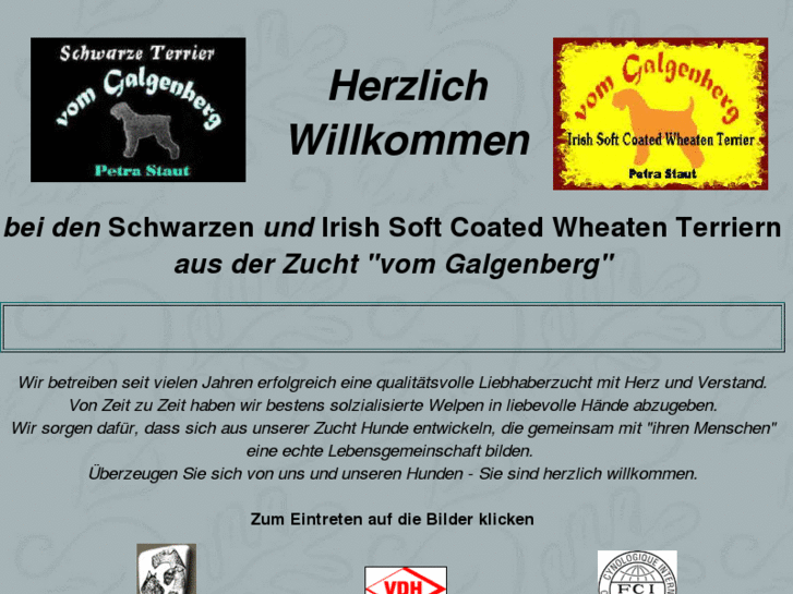 www.schwarzer-terrier.com