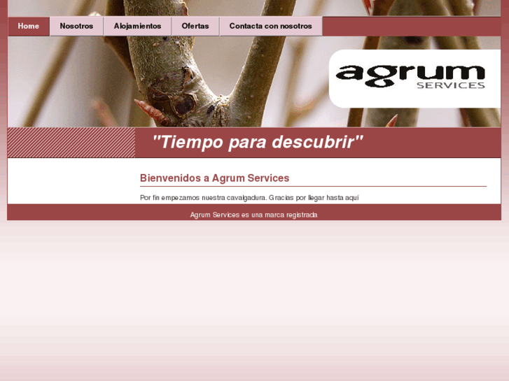 www.agrumservices.es