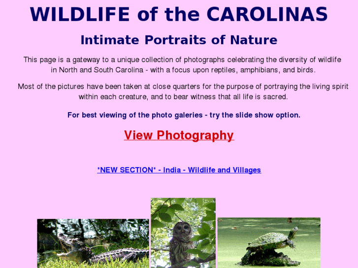 www.carolinawildlife.net