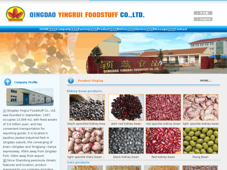 www.cn-yingrui.com