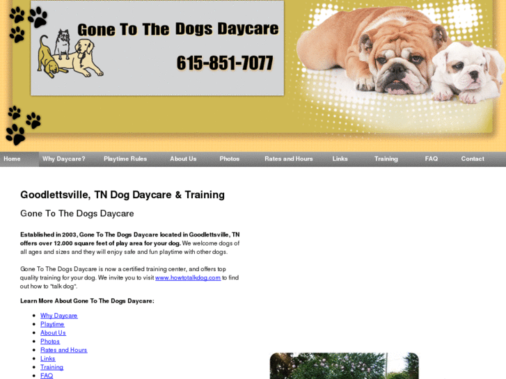 www.gonetothedogsdaycare.com