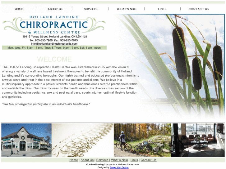 www.hollandlandingchiropractic.com