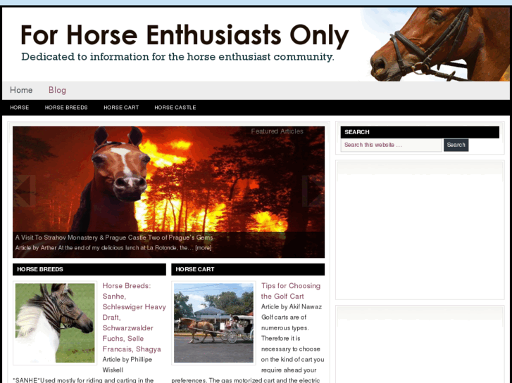 www.horseloversforlife.com