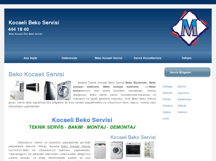 www.kocaelibekoservisi.net