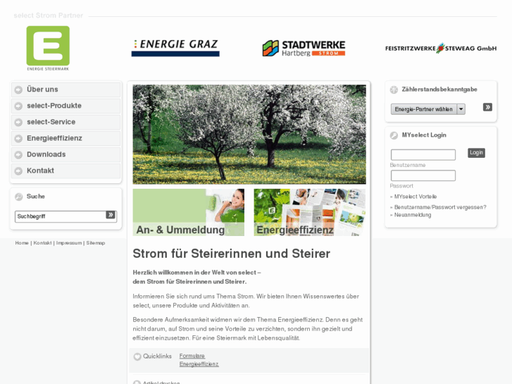 www.selectstrom.at