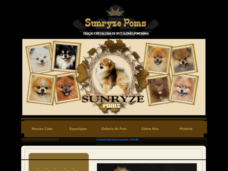 www.sunryzepoms.com