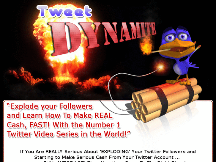 www.tweeetdynamite.com