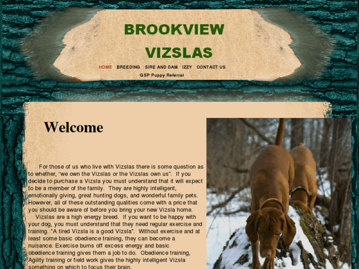 www.brookviewvizslas.com