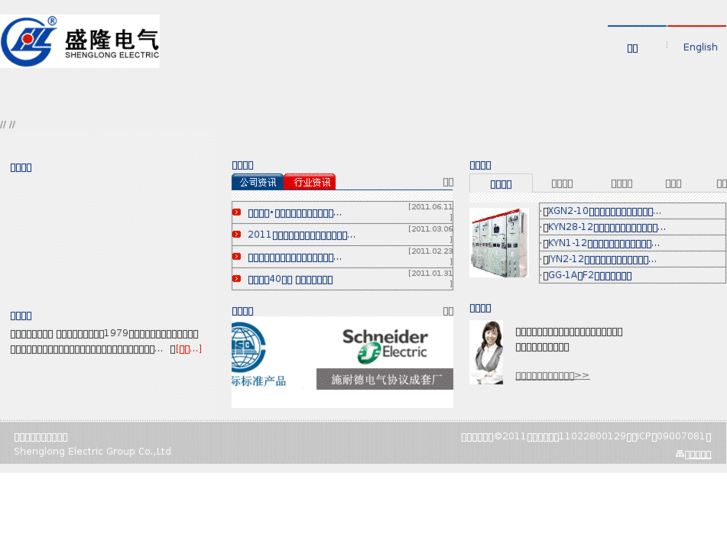 www.shenglong-electric.com.cn