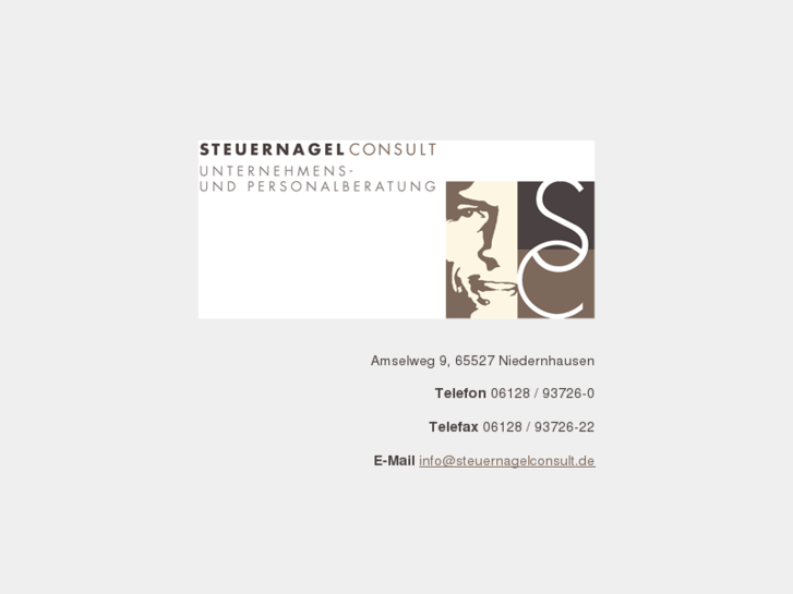 www.steuernagelconsult.com