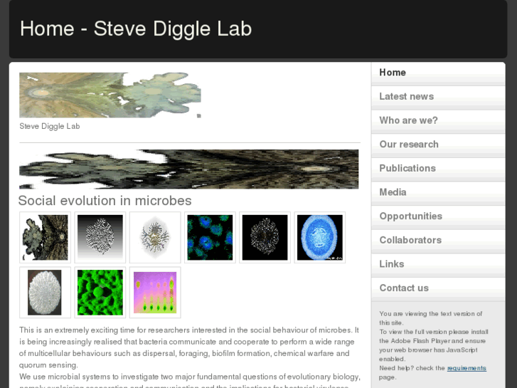 www.stevediggle.com