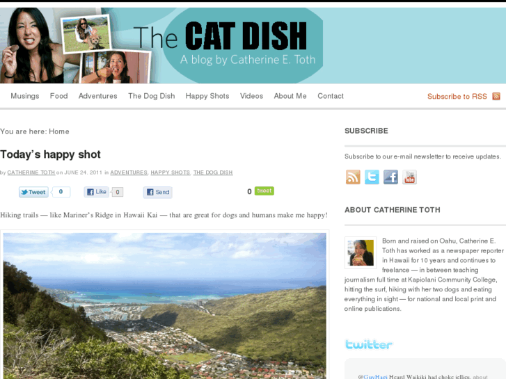 www.thecatdish.com