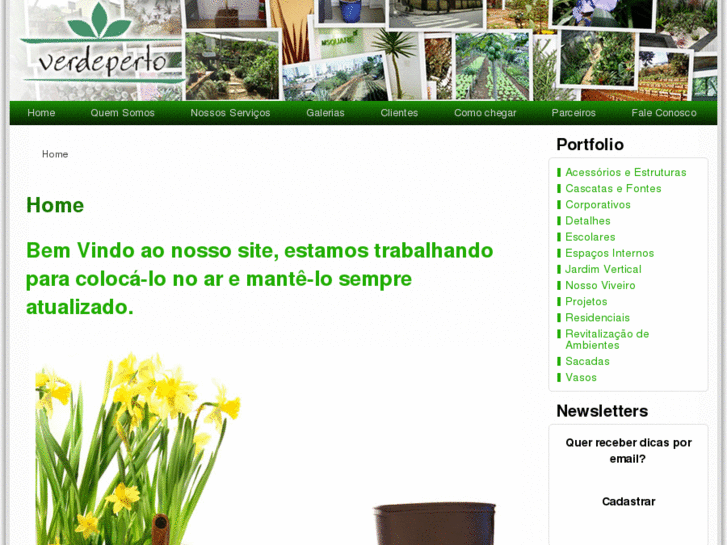 www.verdepertopaisagismo.com