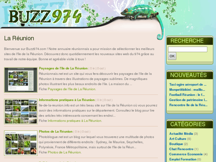 www.buzz974.com