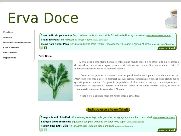 www.erva-doce.info