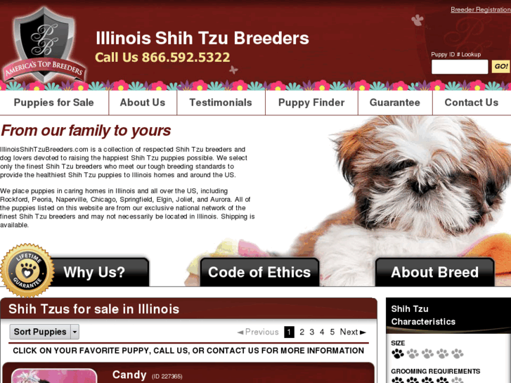 www.illinoisshihtzubreeders.com