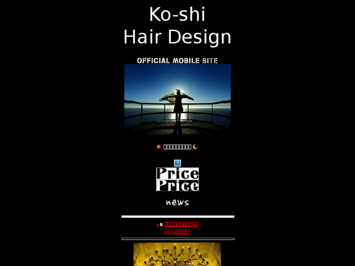 www.ko-shi.net