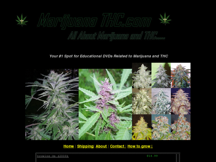 www.marijuanathc.com