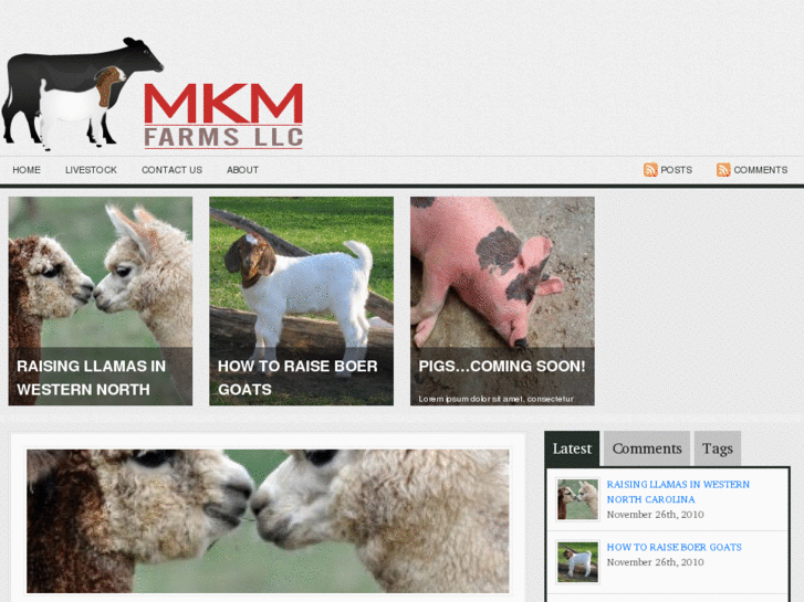 www.mkmfarms.com