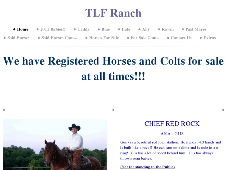 www.new-tlfranch.com