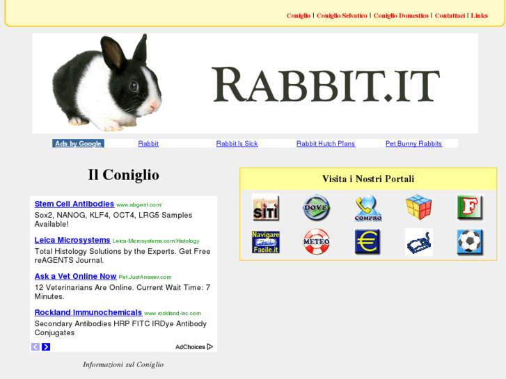 www.rabbit.it