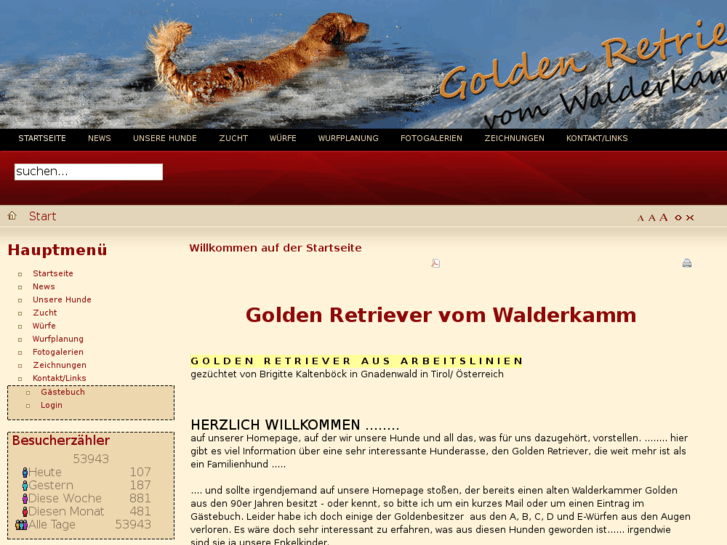 www.retriever-walderkamm.com