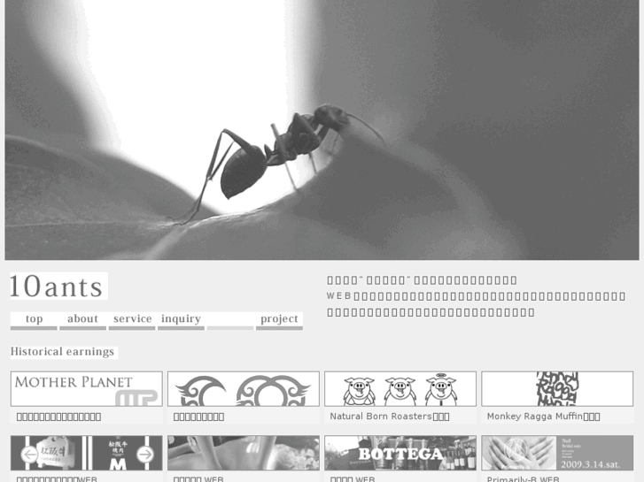 www.10ants.org