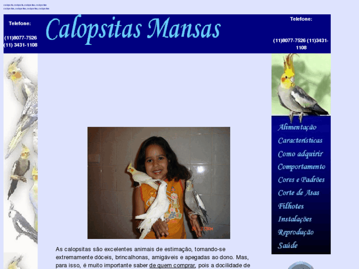 www.calopsitasmansas.net