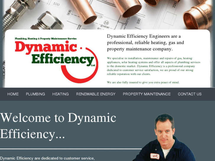 www.dynamicefficiency.net