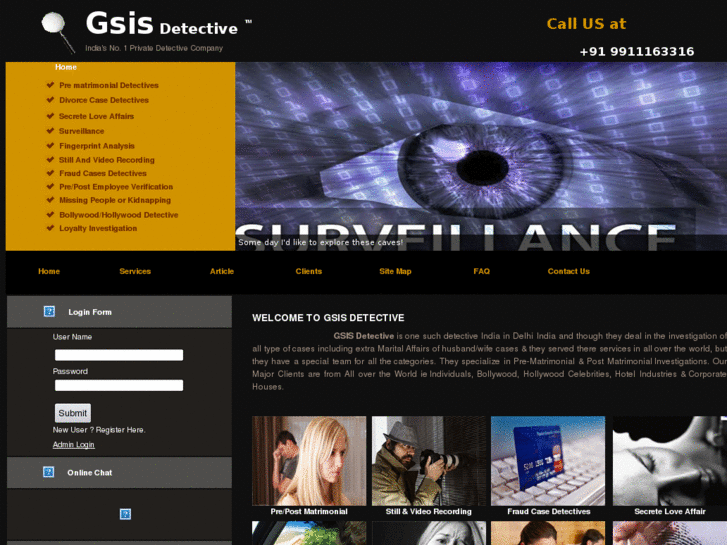 www.gsisdetective.net