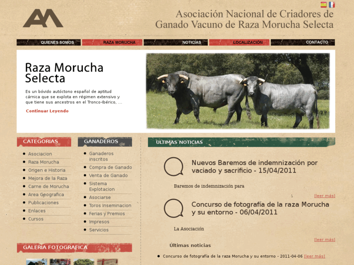 www.morucha.com