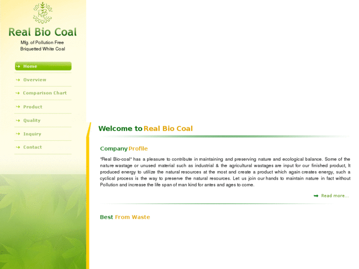 www.realbiocoal.com