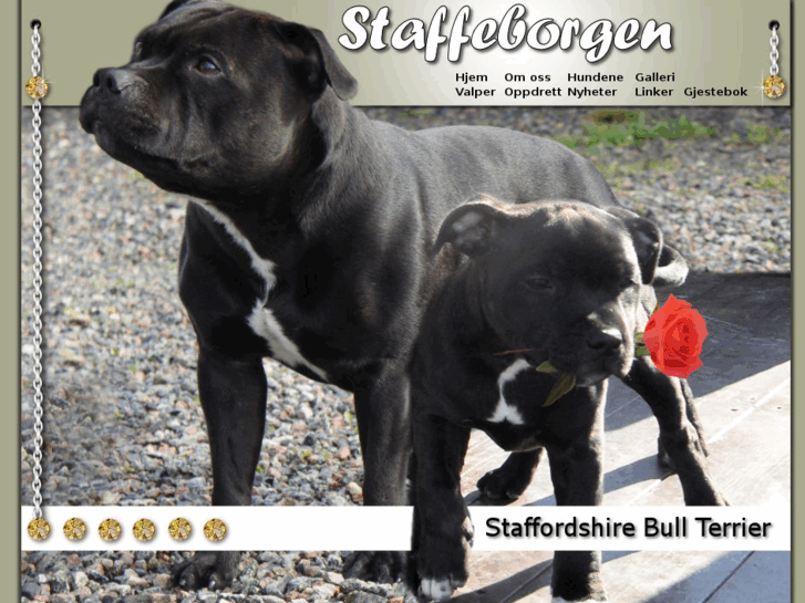 www.staffeborgen.com