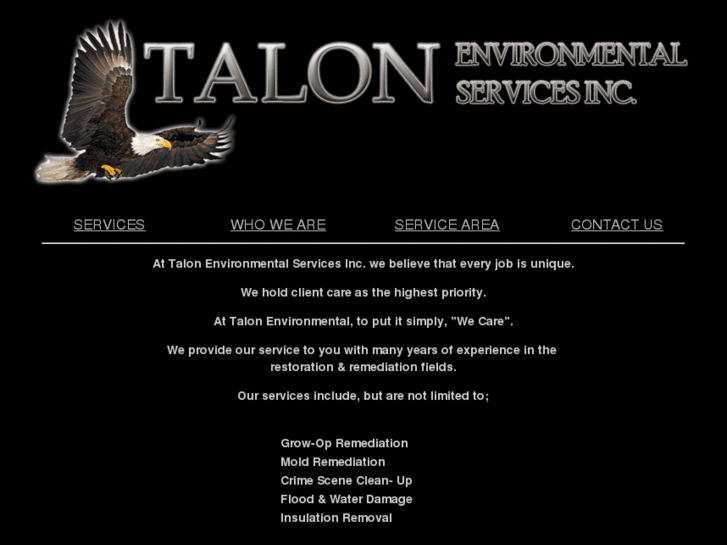 www.talonenvironmental.com