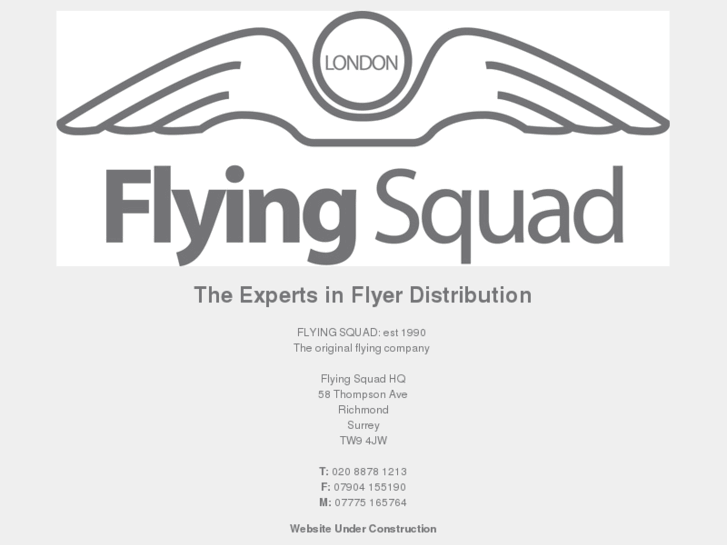 www.flyingsquad2001.co.uk