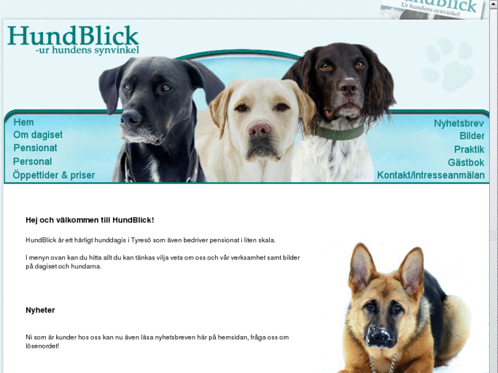 www.hundblick.com