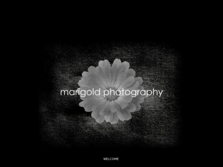 www.marigoldphoto.com