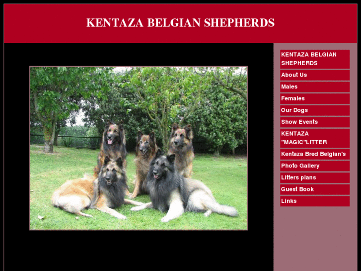 www.belgianshepherdskentaza.com