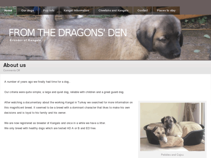 www.fromdragonsden.eu