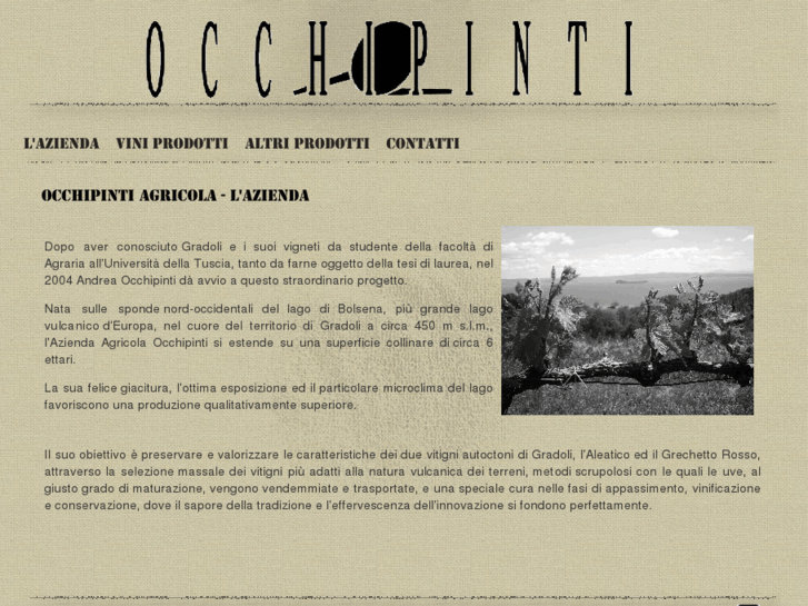 www.occhipintiagricola.com